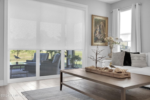 living area with light hardwood / wood-style flooring