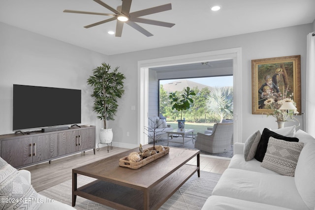 living room with ceiling fan and light hardwood / wood-style flooring