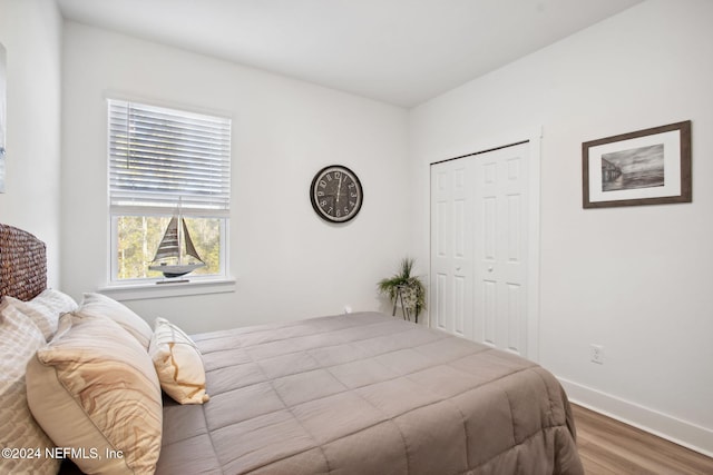 bedroom featuring a closet and hardwood / wood-style flooring