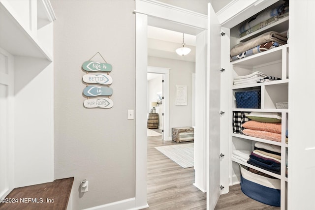 spacious closet with wood-type flooring