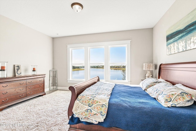 bedroom featuring a water view