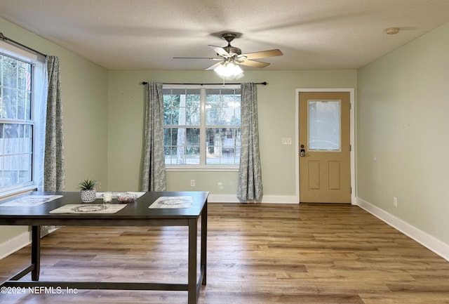 interior space featuring hardwood / wood-style floors, a textured ceiling, and a wealth of natural light