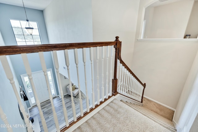 stairway with hardwood / wood-style flooring