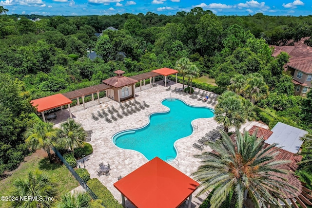 view of swimming pool