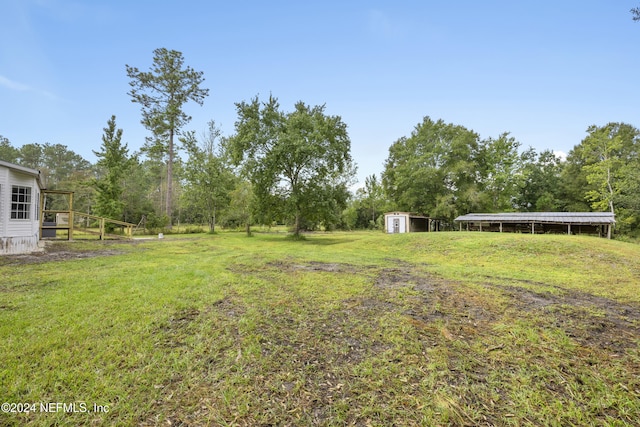 view of yard featuring a shed