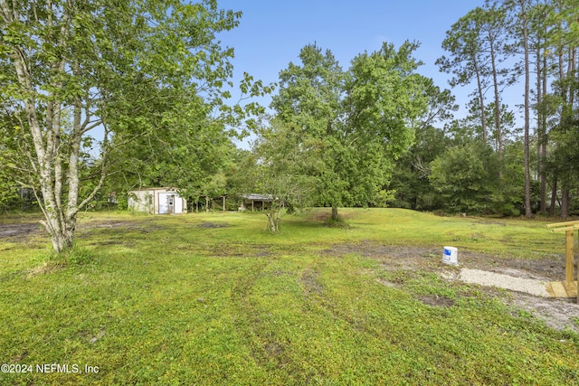 view of yard with a storage shed