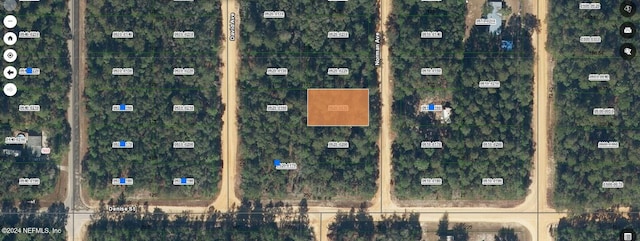 0000000 Norman Ave, Interlachen FL, 32148 land for sale