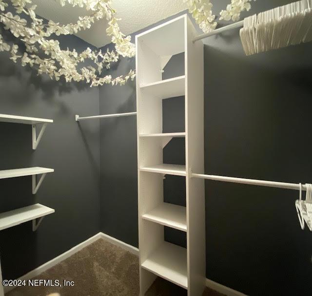 walk in closet with carpet