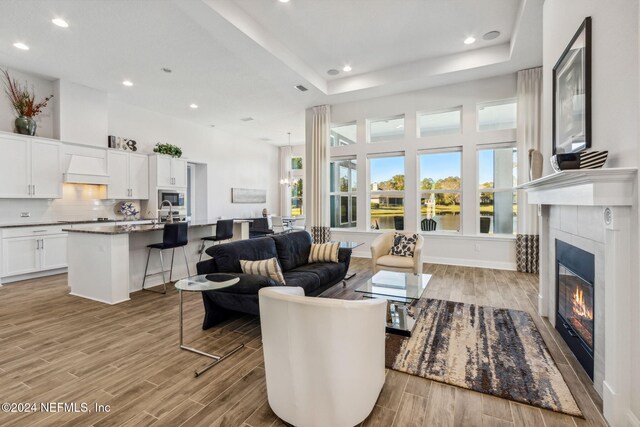 living room featuring plenty of natural light and a raised ceiling