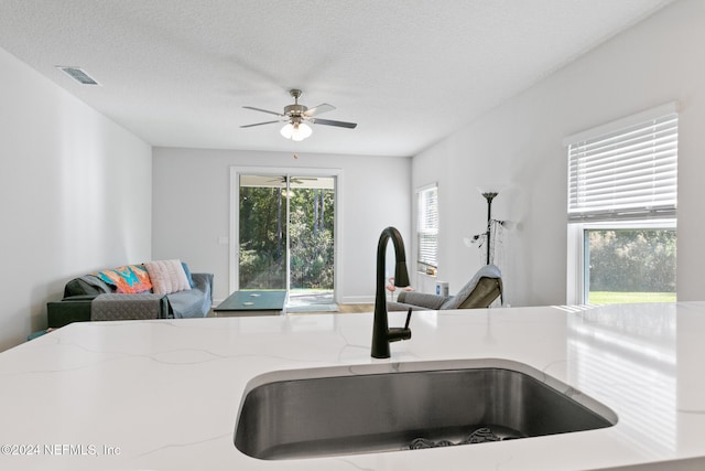 details featuring a textured ceiling, ceiling fan, light stone countertops, and sink