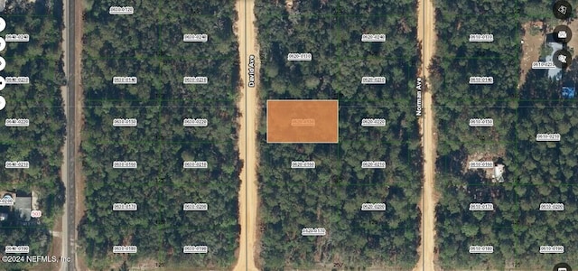 00000 David, Interlachen FL, 32148 land for sale