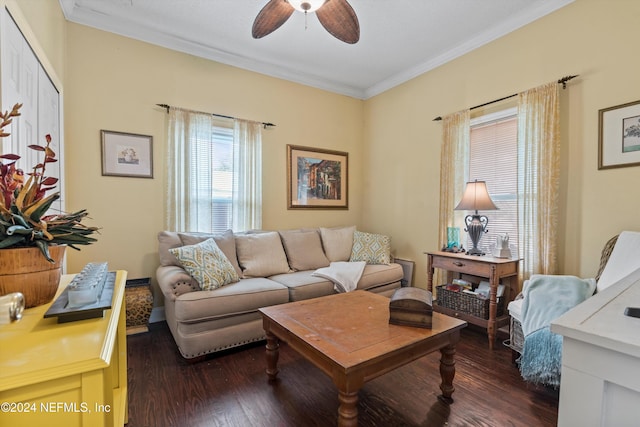 living room featuring crown molding, ceiling fan, and dark hardwood / wood-style flooring