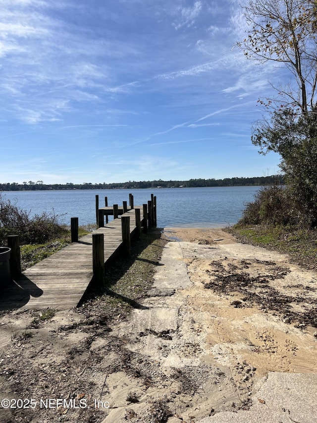 dock area with a water view