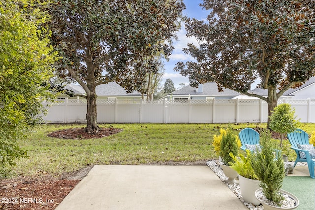 532 Dry Branch Way, Saint Johns, FL 32259 - view of yard featuring a patio