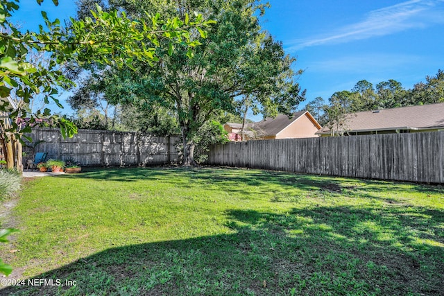 view of yard