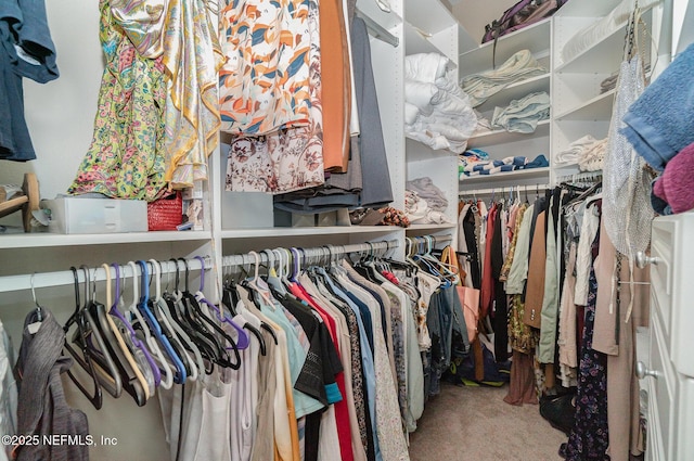 spacious closet with carpet flooring