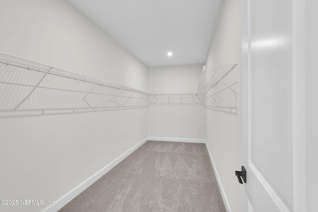 walk in closet featuring carpet floors