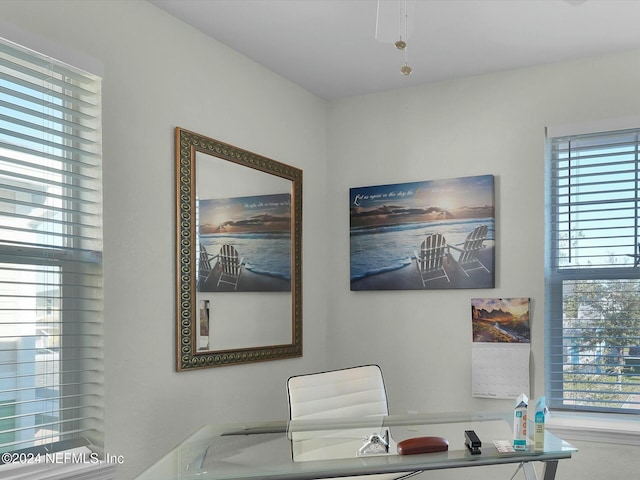 156 Sandy Beach Ln, Atlantic Beach, FL 32233 - office featuring healthy amount of natural light