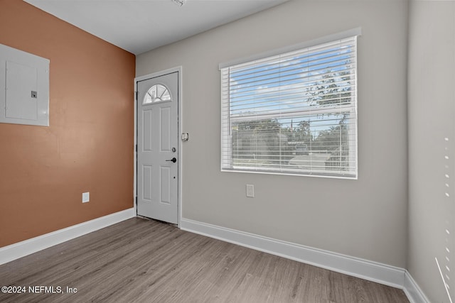 entrance foyer with plenty of natural light, light hardwood / wood-style floors, and electric panel