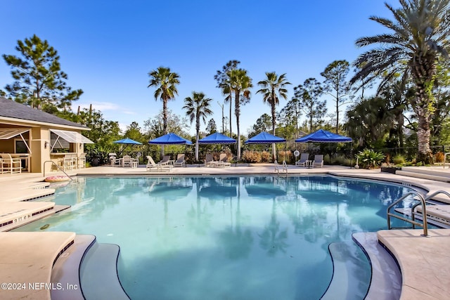 view of pool featuring a patio area