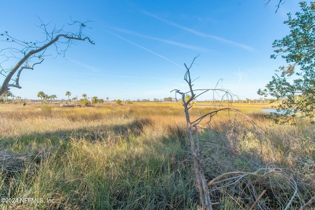 view of local wilderness featuring a rural view