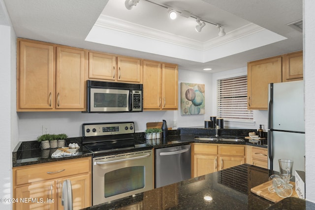 kitchen featuring appliances with stainless steel finishes, rail lighting, ornamental molding, a tray ceiling, and sink