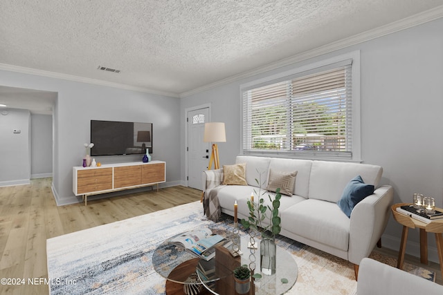 living room with crown molding, light hardwood / wood-style flooring, and a textured ceiling