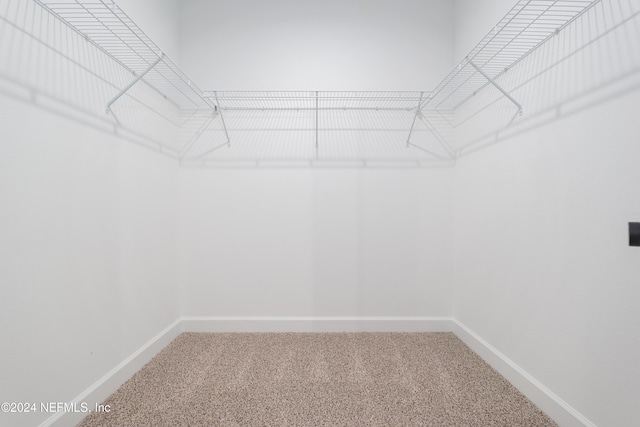 spacious closet featuring carpet flooring