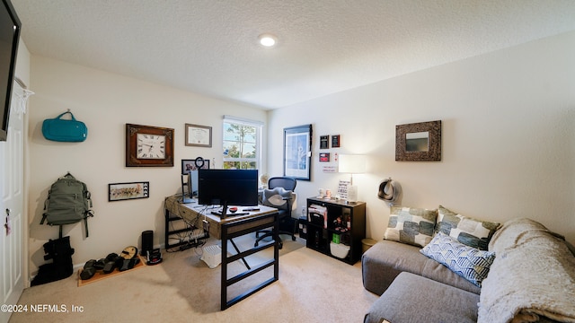 carpeted office with a textured ceiling