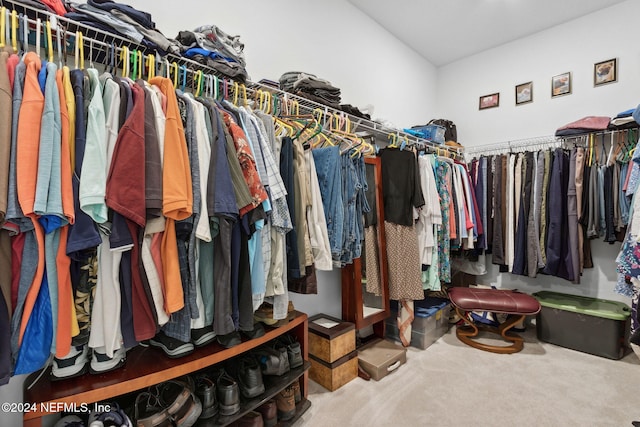 spacious closet with carpet