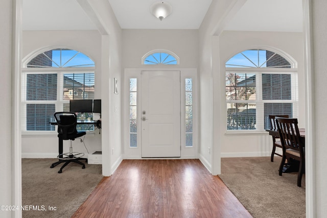 foyer with hardwood / wood-style floors and plenty of natural light