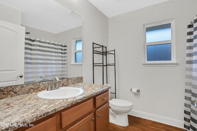 bathroom featuring hardwood / wood-style floors, vanity, and toilet