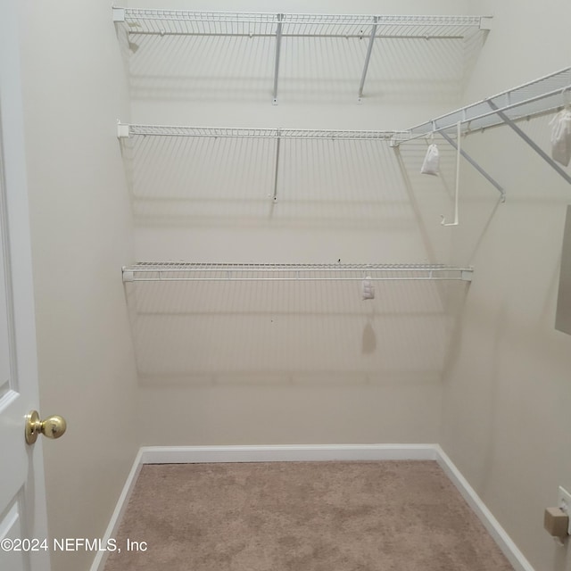 spacious closet with carpet