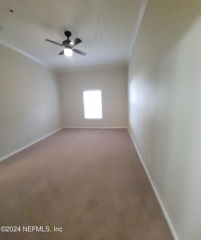 carpeted spare room featuring ceiling fan and crown molding