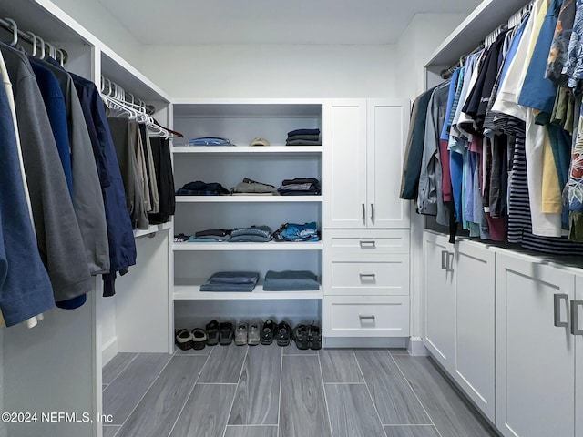 view of walk in closet