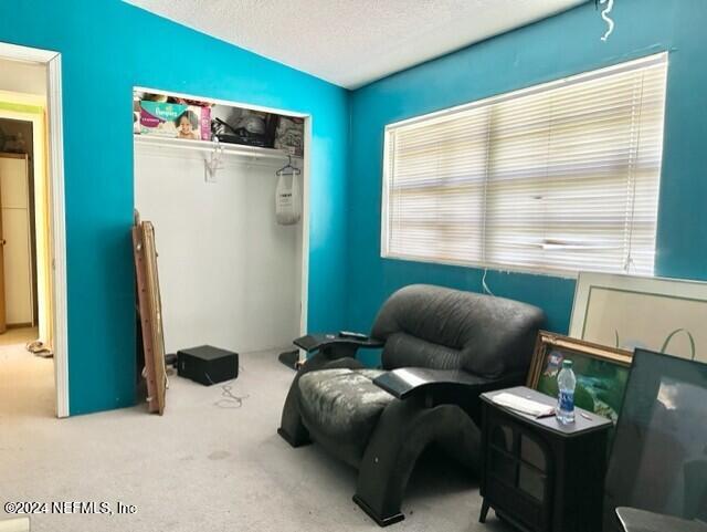 living area featuring lofted ceiling, carpet floors, and a textured ceiling