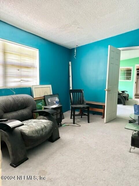 living area featuring carpet floors and a textured ceiling