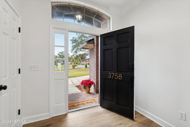 entrance foyer with light wood-type flooring