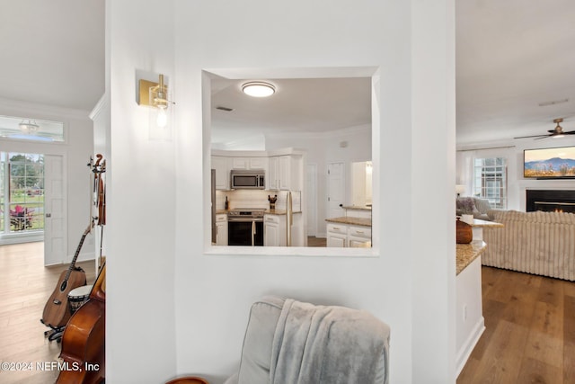 hall featuring light wood-type flooring and ornamental molding