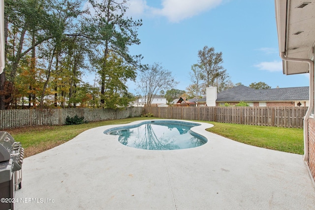 view of swimming pool with a patio area and a yard