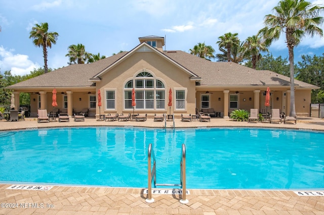 view of swimming pool featuring a patio and ceiling fan