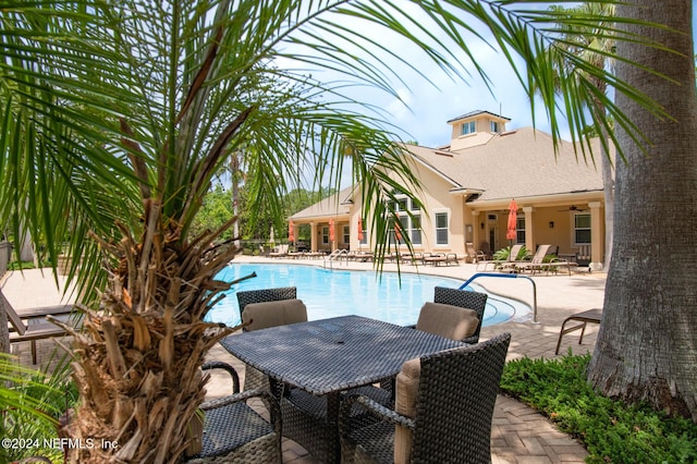 view of swimming pool featuring a patio and ceiling fan