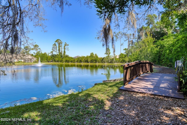 dock area with a water view