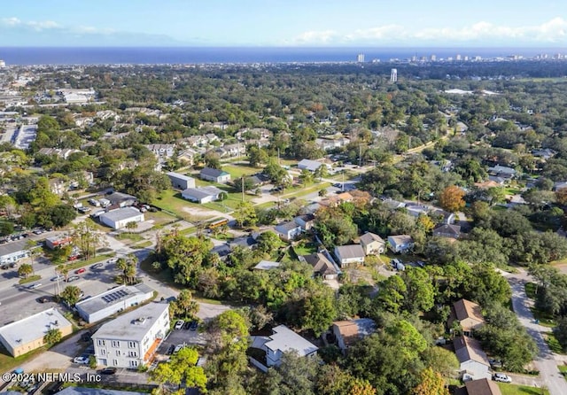 bird's eye view