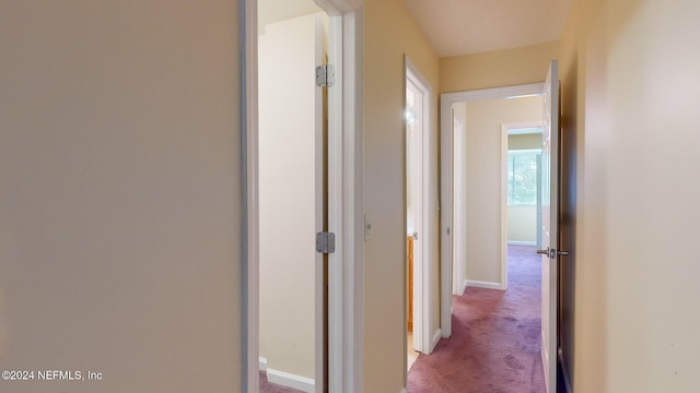 8880 Old Kings Rd S Unit 106, Jacksonville, FL 32257 - hallway featuring light colored carpet and baseboards