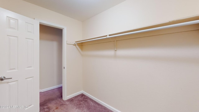 8880 Old Kings Rd S Unit 106, Jacksonville, FL 32257 - walk in closet with carpet