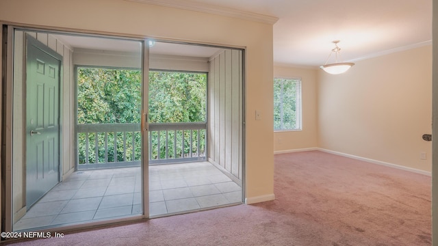 8880 Old Kings Rd S Unit 106, Jacksonville, FL 32257 - carpeted empty room featuring crown molding and baseboards