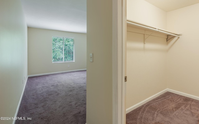 walk in closet featuring carpet