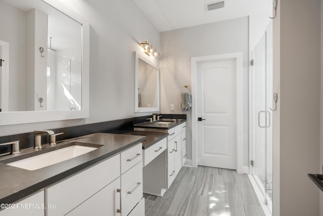 bathroom featuring vanity and walk in shower