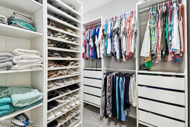 spacious closet featuring carpet flooring